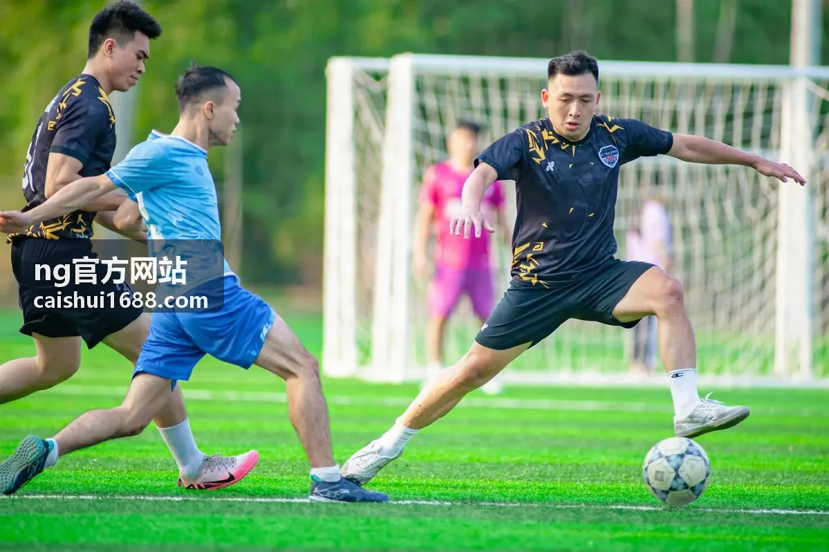 NG官方网站代理记账服务月度账务处理