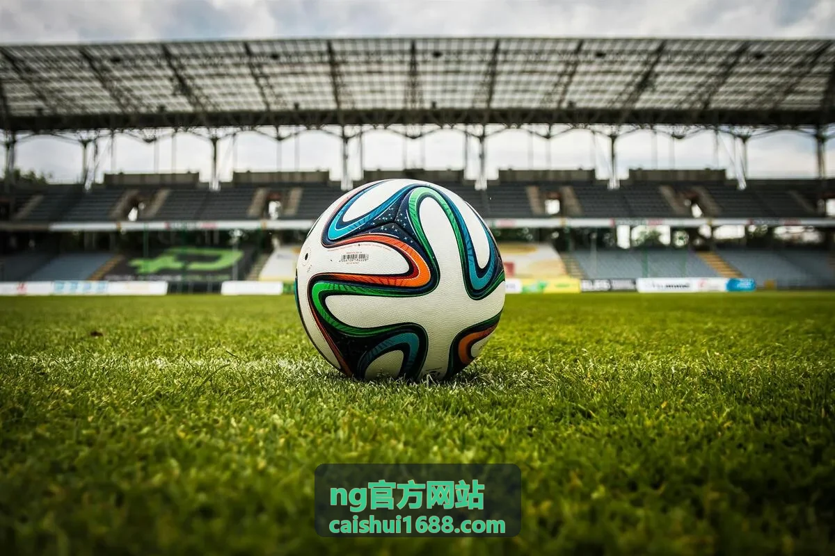 NG官方网站税务筹划咨询方案沟通