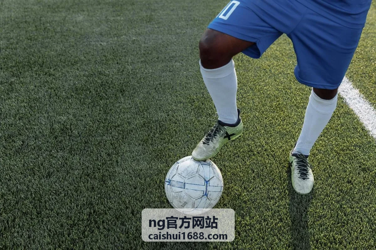 NG官方网站工商注册办理注册资本与股权信息变更事项
