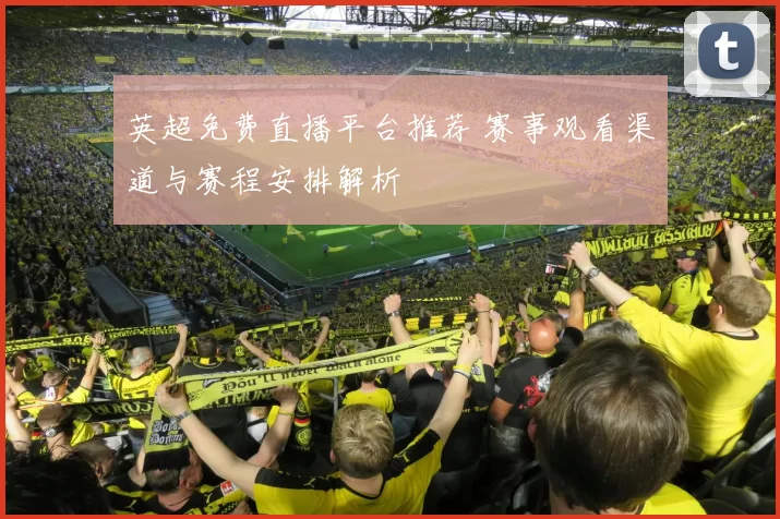 英超免费直播平台推荐 赛事观看渠道与赛程安排解析