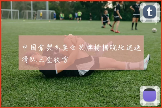 中国索契冬奥会奖牌榜揭晓短道速滑队三金收官