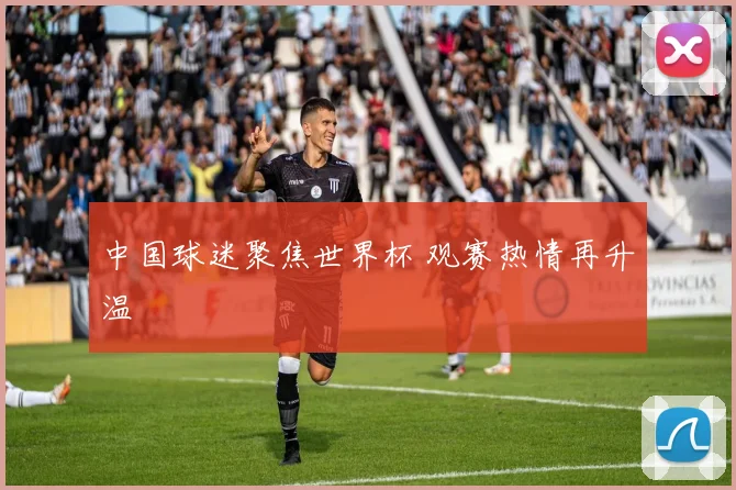 中国球迷聚焦世界杯 观赛热情再升温