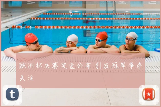 欧洲杯决赛奖金公布 引发冠军争夺关注
