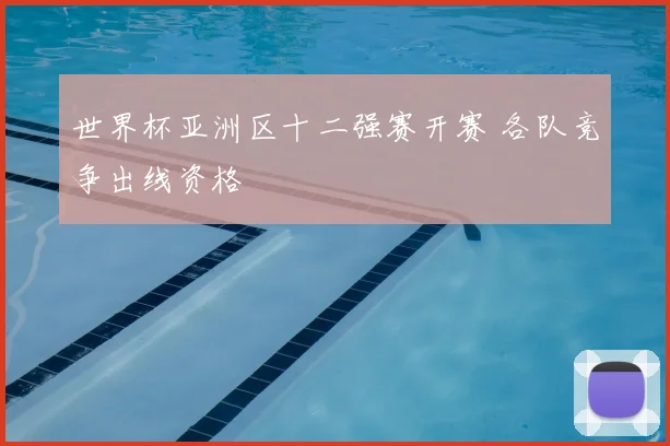 世界杯亚洲区十二强赛开赛 各队竞争出线资格